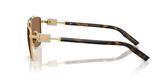 Dolce & Gabbana DG2336 Sunglasses