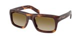 Prada PR D11S Sunglasses