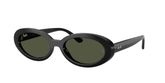 Ray Ban RB2223 Sunglasses