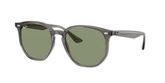 Ray Ban RB4306 Sunglasses