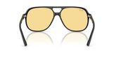 Ray Ban RB2198 BILL Sunglasses