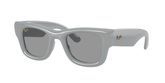 Ray Ban RB4940 WAYFARER PUFFER Sunglasses