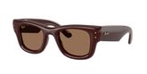 Ray Ban RB4940 WAYFARER PUFFER Sunglasses