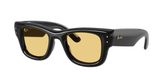 Ray Ban RB4940 WAYFARER PUFFER Sunglasses