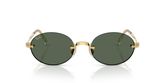 Ray Ban RB3929 Sunglasses
