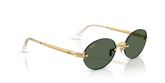 Ray Ban RB3929 Sunglasses