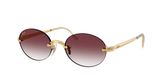 Ray Ban RB3929 Sunglasses