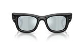 Ray Ban RB4940B WAYFARER PUFFER Sunglasses