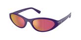 POLO PH4248U Sunglasses