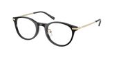 POLO PH2313D Eyeglasses