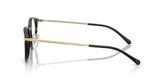 POLO PH2313D Eyeglasses