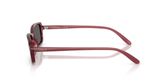 Vogue VO5666S Sunglasses