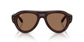 Ray Ban RB4925 Sunglasses