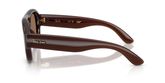 Ray Ban RB4925 Sunglasses