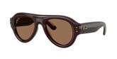 Ray Ban RB4925 Sunglasses