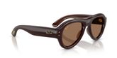 Ray Ban RB4925 Sunglasses