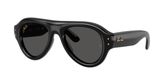 Ray Ban RB4925 Sunglasses