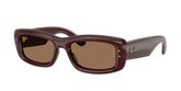 Ray Ban RB4944 Sunglasses