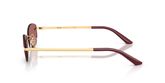 Versace VE2308D Sunglasses