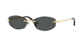 Versace VE2308D Sunglasses