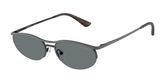 Emporio Armani EA2180 Sunglasses