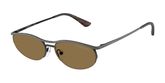 Emporio Armani EA2180 Sunglasses