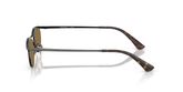 Emporio Armani EA2180 Sunglasses