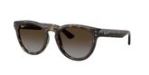 Ray Ban RB2237 Sunglasses