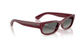 Ray Ban RB2236 Sunglasses