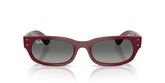 Ray Ban RB2236 Sunglasses