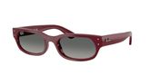 Ray Ban RB2236 Sunglasses