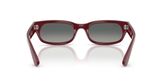 Ray Ban RB2236 Sunglasses