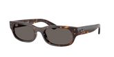 Ray Ban RB2236 Sunglasses