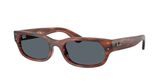 Ray Ban RB2236 Sunglasses