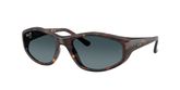 Ray Ban RB2228 Sunglasses