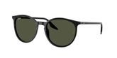 Ray Ban RB2204 Sunglasses