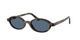 Ray Ban RB4472 Sunglasses