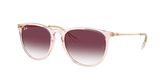Ray Ban RB4171 ERIKA Sunglasses
