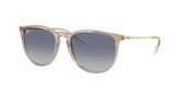 Ray Ban RB4171 ERIKA Sunglasses