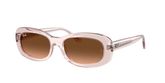 Ray Ban RB2221 Sunglasses