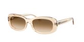 Ray Ban RB2221 Sunglasses