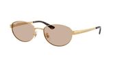 Ray Ban RB3774D Sunglasses