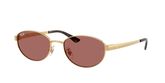 Ray Ban RB3774D Sunglasses