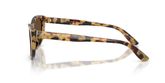 Dolce & Gabbana DG4571 Sunglasses