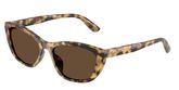 Dolce & Gabbana DG4571 Sunglasses