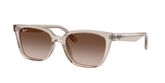 Ray Ban RB2243D Sunglasses