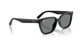 Ray Ban RB2243D Sunglasses