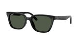 Ray Ban RB2243D Sunglasses