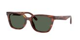 Ray Ban RB2243D Sunglasses