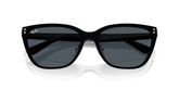 Ray Ban RB3798D Sunglasses